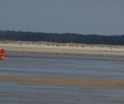 IMGP1408